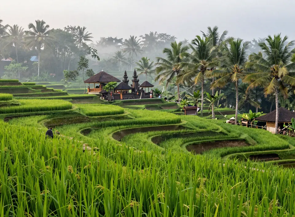 Terrazas de arroz y un templo entre palmeras en Bali